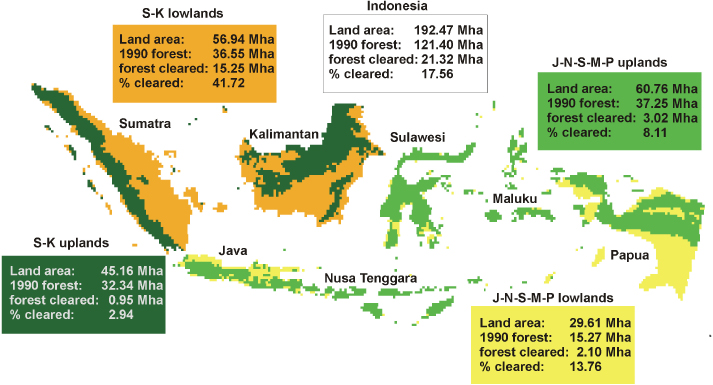 deforestation case study indonesia